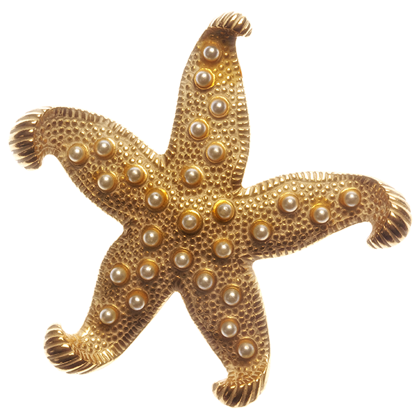 Broš u obliku zlatne morske zvijezde | Gold Starfish Pin